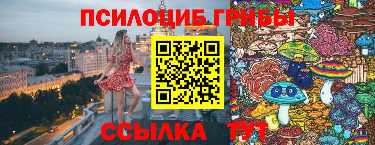 Галлюциногенные грибы ЛСД  Вход с VPN  Галлюциногенные грибы Magic Shrooms  Муравленко 